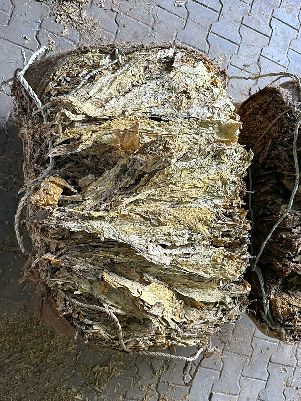 Flue-cured Virginia leaf in store, wrapping opened